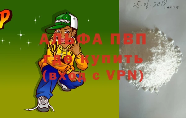 стафф Галич