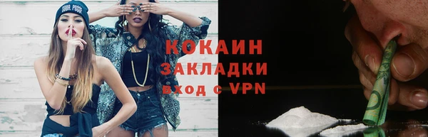 дмт Пересвет