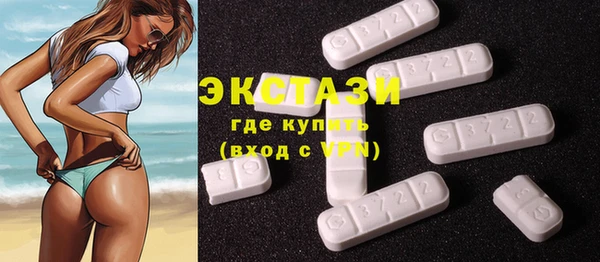дмт Пересвет