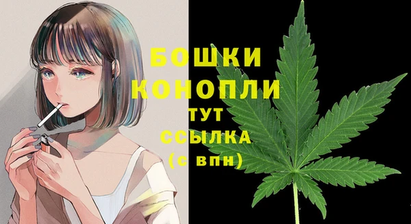 дмт Пересвет