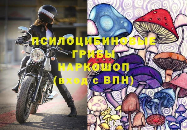 spice Осташков