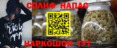 индика Апшеронск