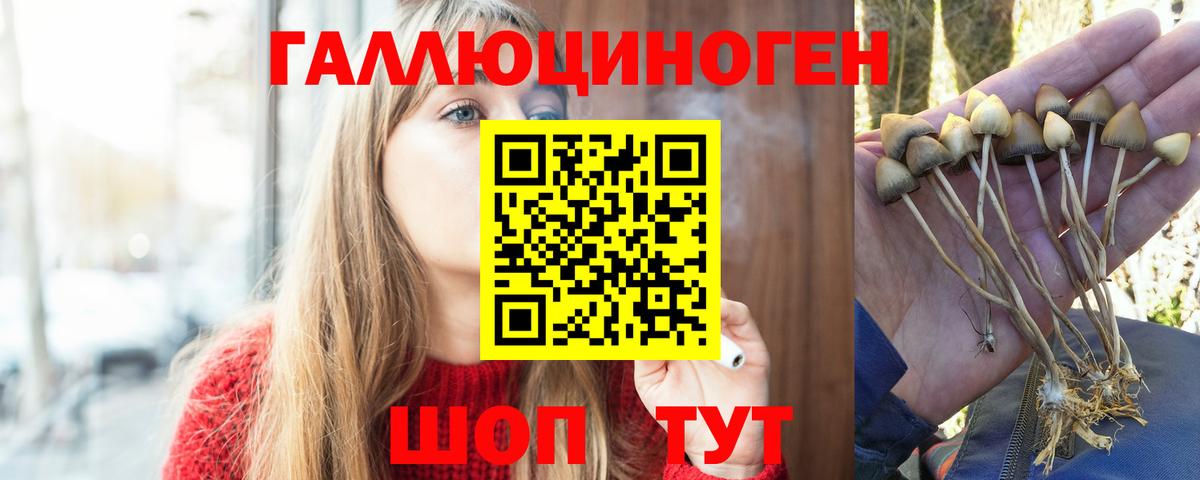 Псилоцибиновые грибы MAGIC MUSHROOMS Богданович