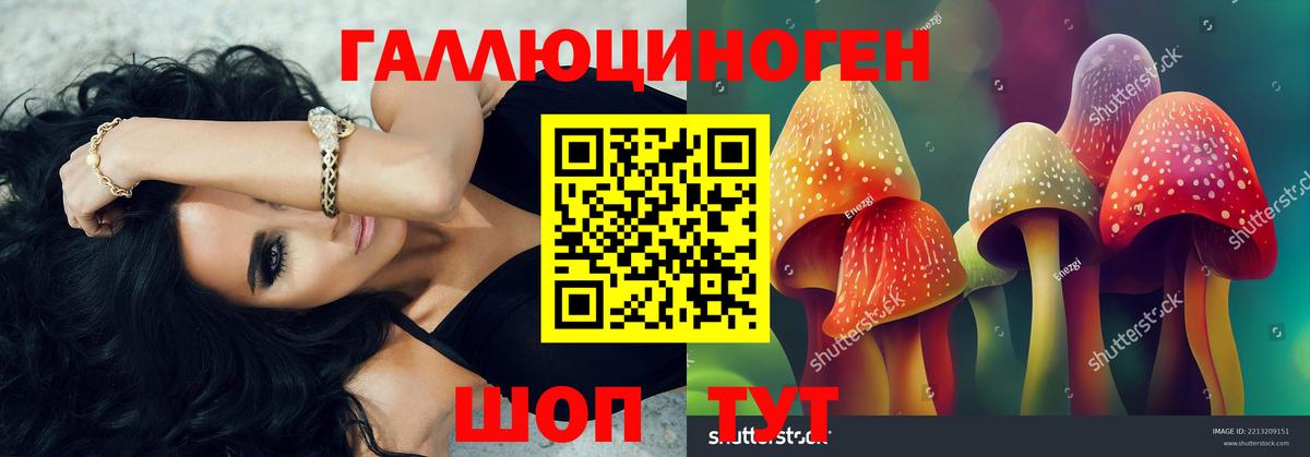 Псилоцибиновые грибы прущие грибы  Богданович 